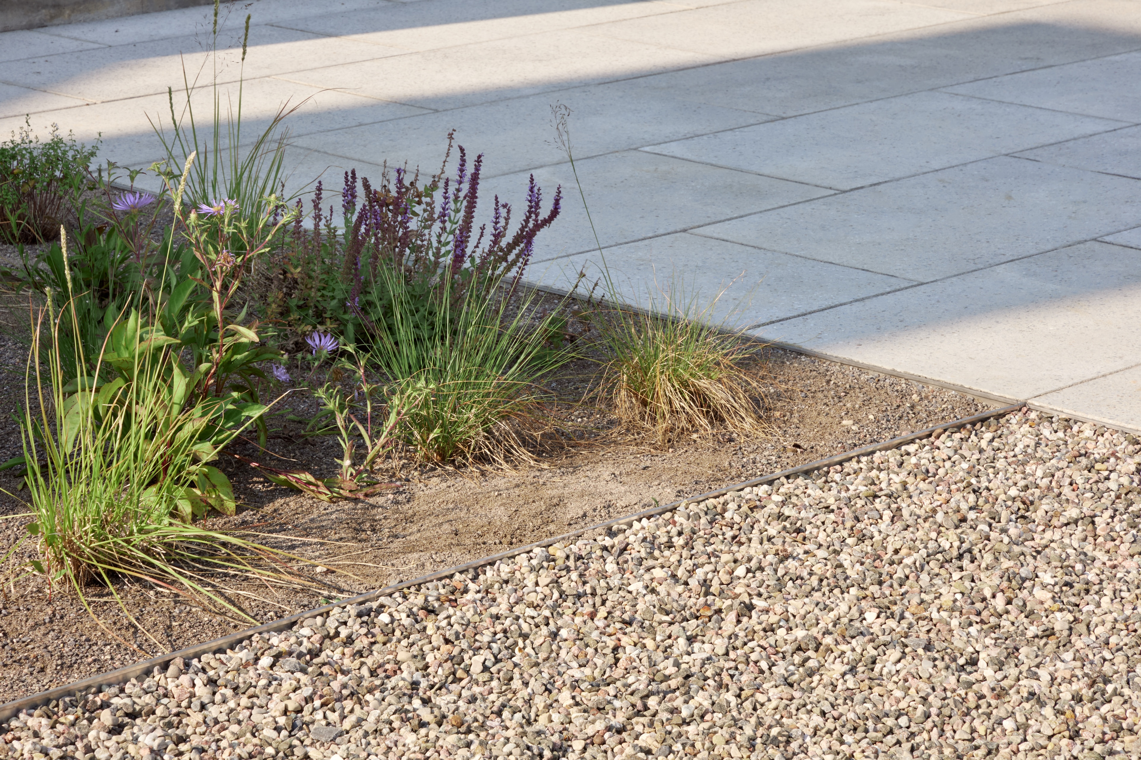 511 Main Wellington, Daniel Thomas Construction