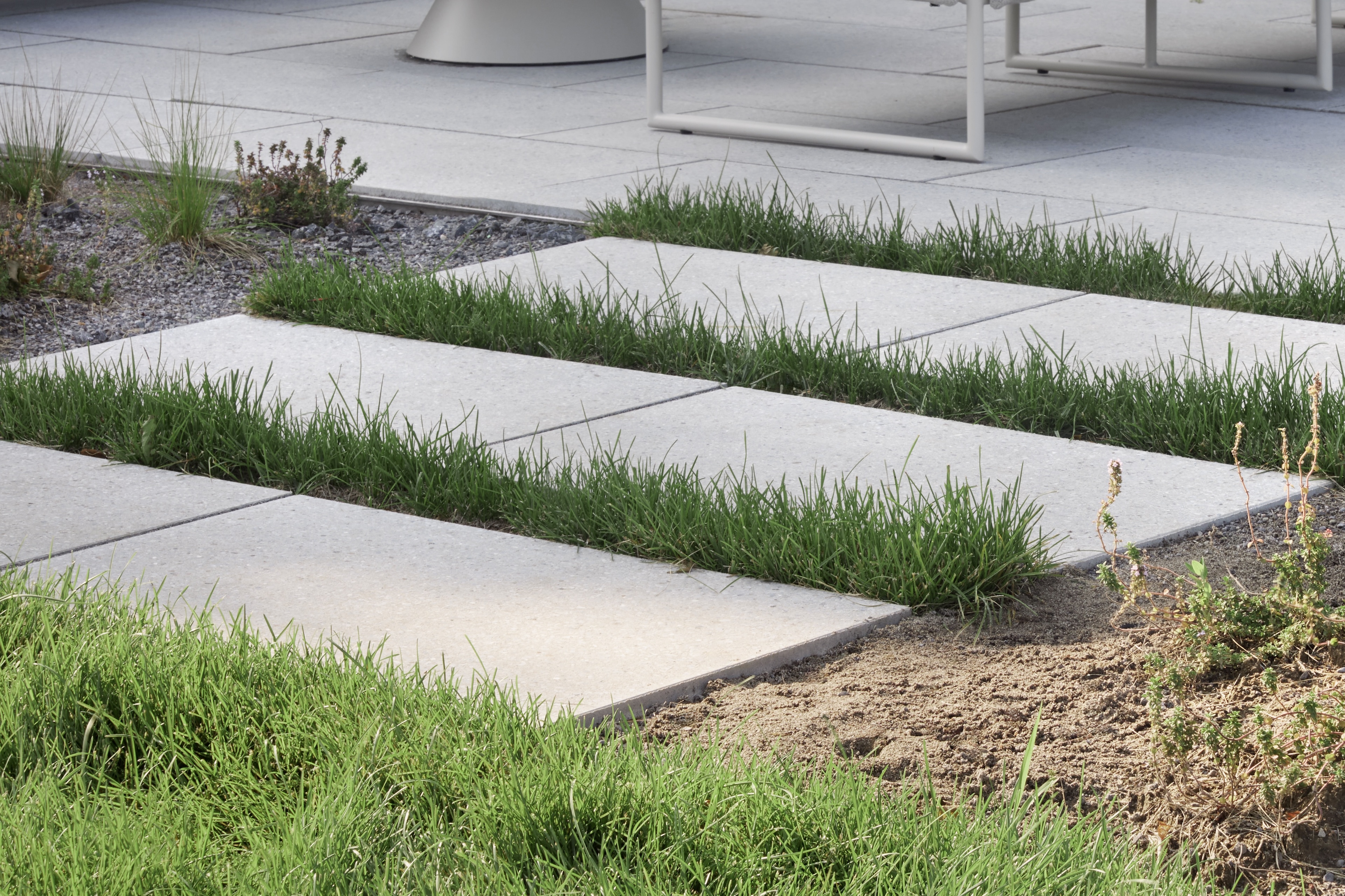 511 Main Wellington, Daniel Thomas Construction