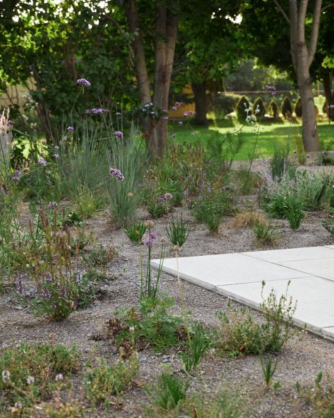 511 Main Wellington, Daniel Thomas Construction